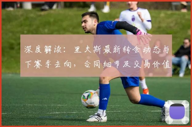 深度解读:里夫斯最新转会动态与下赛季去向,合同细节及交易价值全分析