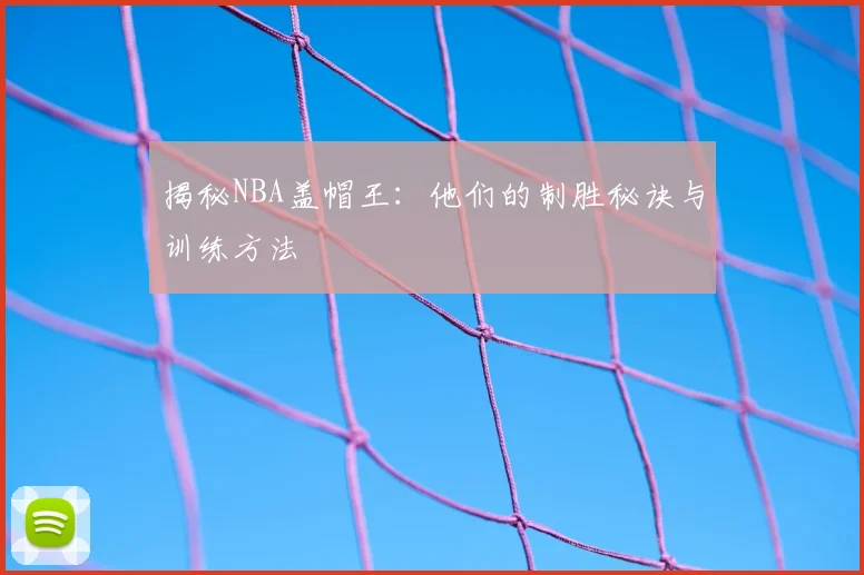 揭秘NBA盖帽王:他们的制胜秘诀与训练方法