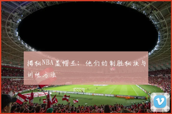 揭秘NBA盖帽王：他们的制胜秘诀与训练方法